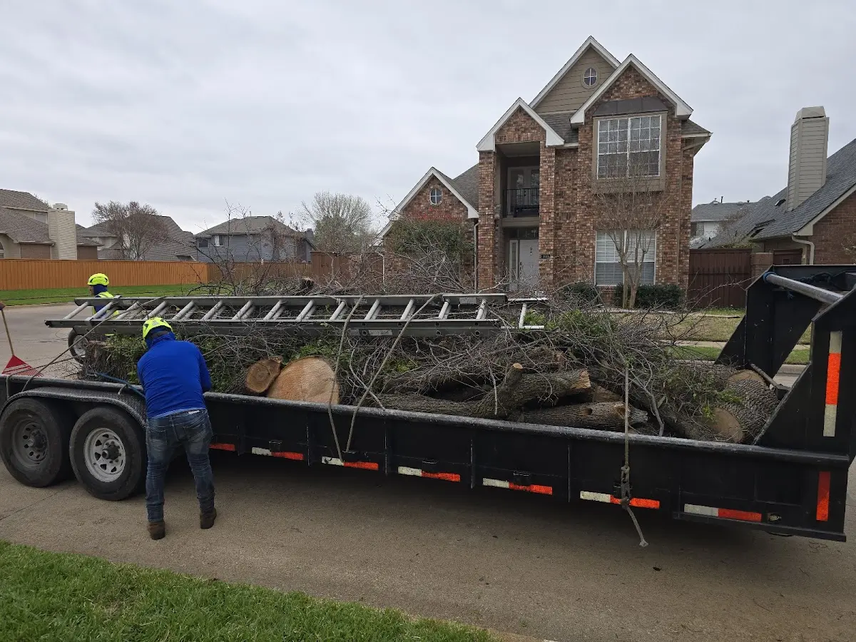 Expert Tree Removal with proper safety equipment in Grand Portage